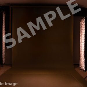 Godox MS300