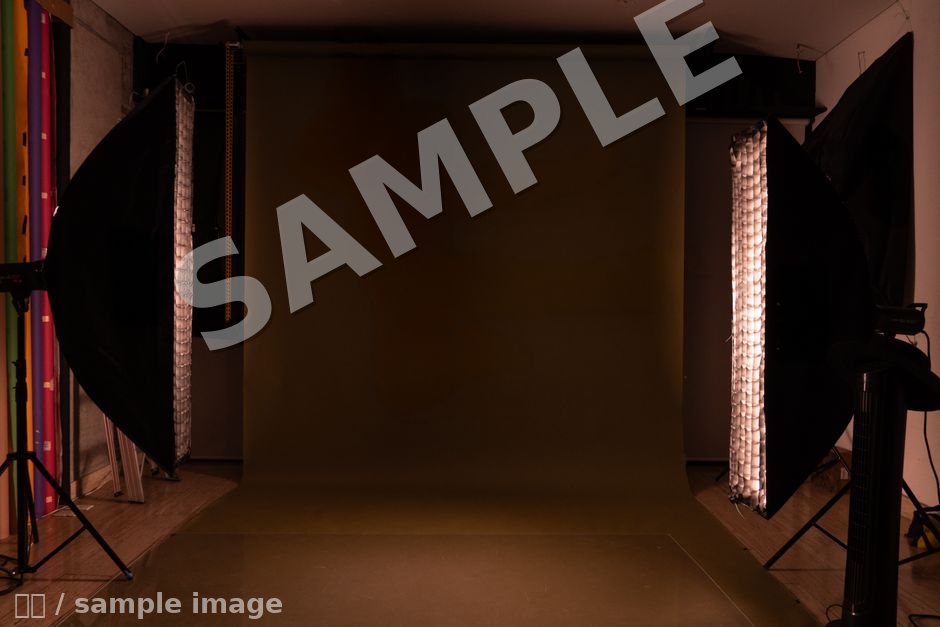Godox MS300